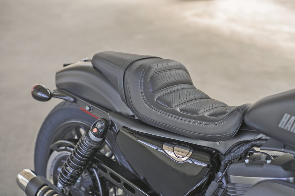 Ensaio -Harley Davidson Roadster