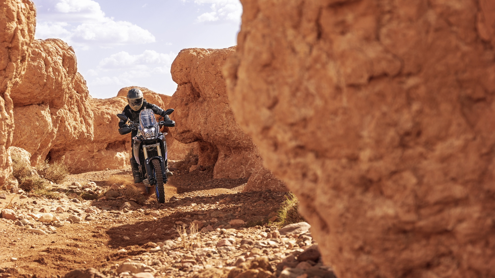 A Yamaha confirma o preço da Ténéré 700 e a data de lançamento