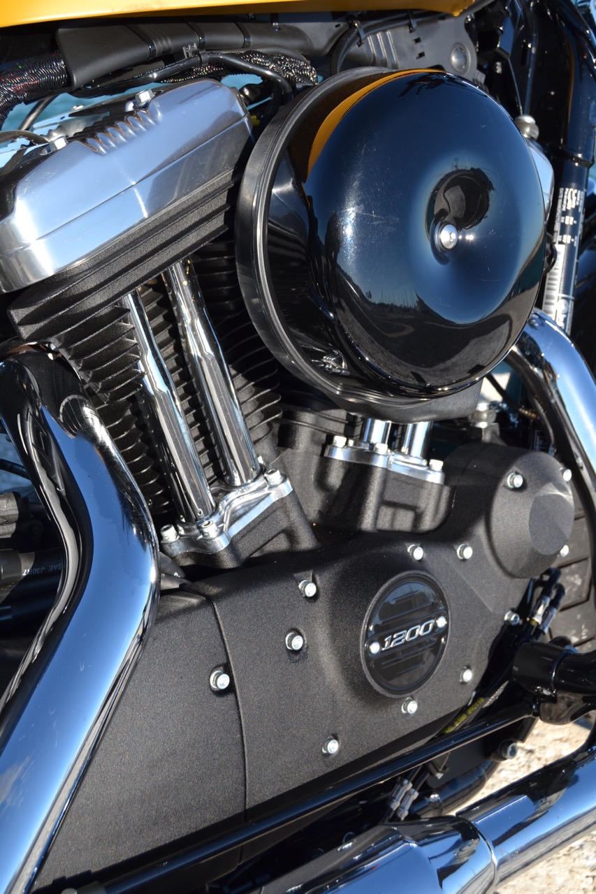 Ensaio Harley-Davidson Sporster “Forty Eight” 2019