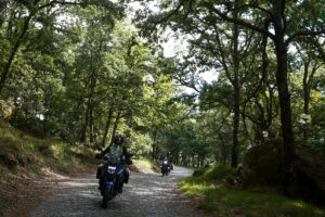 Portugal Lés-a-Lés: Motociclistas recuperam floresta autóctone em Vila Pouca de Aguiar thumbnail