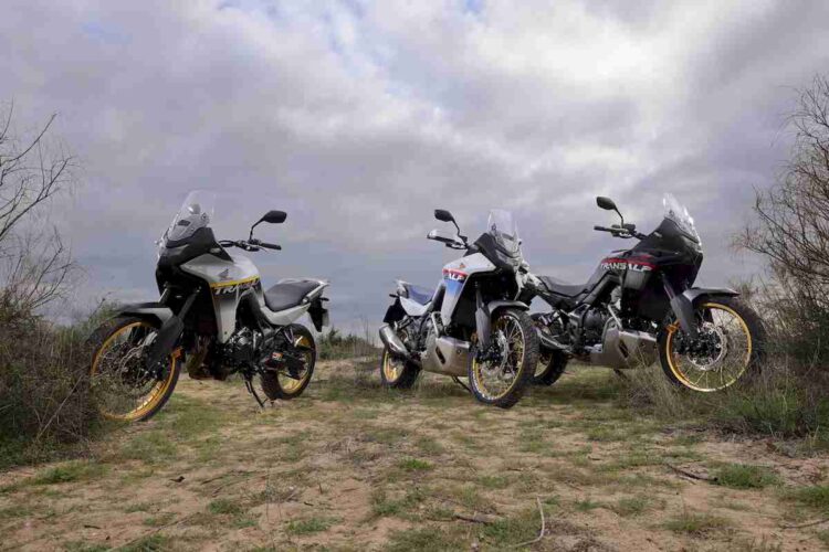 Honda XL750 Transalp | Mais próxima da rainha-mãe | Contacto