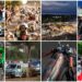 As 10 coisas que não pode perder no Biker Fest 2025