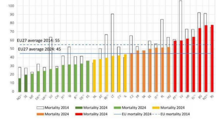 Números arrepiantes! 20.017 mortes nas estradas em 2024