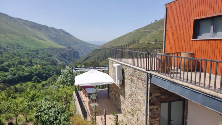 Triumph Moto Clube Portugal | Passeio ao Norte, AKA, Tripeiro 2025