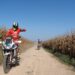 Motociclistas em luta contra os incêndios