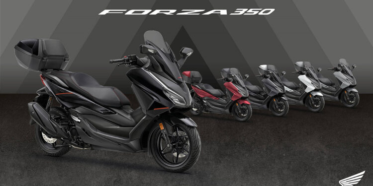 Honda renova gama Forza