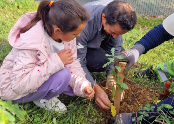 Federação de Motociclismo plantou 30 árvores em escola de Oliveira de Azeméis