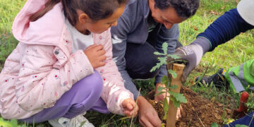 Federação de Motociclismo plantou 30 árvores em escola de Oliveira de Azeméis