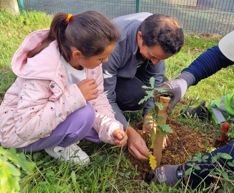 Federação de Motociclismo plantou 30 árvores em escola de Oliveira de Azeméis