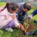 Federação de Motociclismo plantou 30 árvores em escola de Oliveira de Azeméis