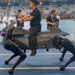 China já supera o Japão: robô quadrúpede Qiji chega antes do Corleo da Kawasaki