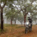 Motociclistas protegem as serras no Portugal de Lés-a-Lés Off-Road